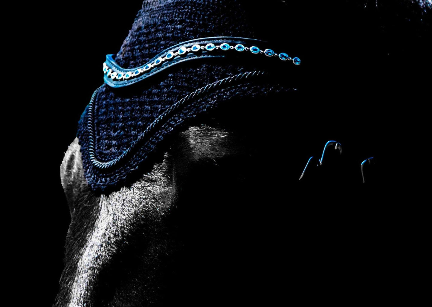 Blue Topaz Browband - MP Equestrian 